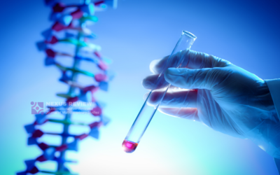 The Ethical Implications of Genetic Engineering: A Philosophical and Scientific Exploration